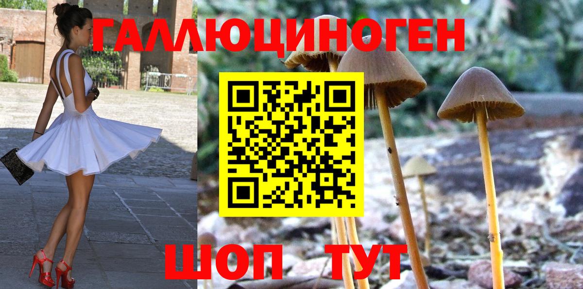 Заволжье  Галлюциногенные грибы мухоморы  Вход с VPN 